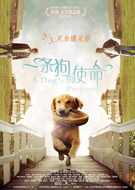 中文字幕22页